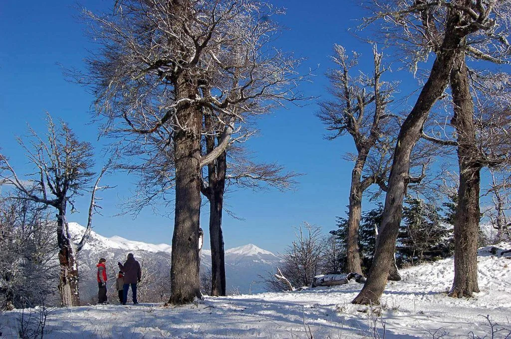 rio-negro-bariloche-nieve-caminar-2-1024x681-1.jpg