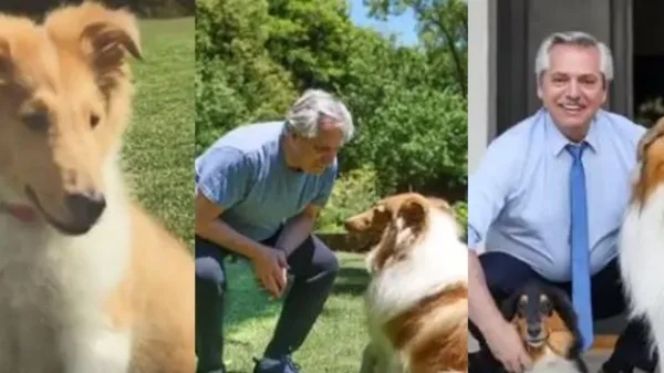 Dylan, el perro de Alberto Fernández, cumplió años y el presidente lo celebró por las redes sociales
