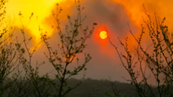 Incendios: continúa el combate en El Durazno y están contenidos los demás focos