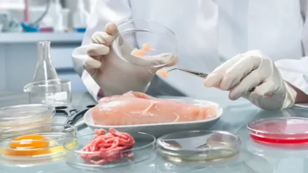 Disuelven la Comisión Nacional de Alimentos