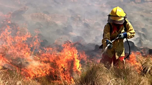 Bomberos contuvieron incendios en Cañada del Rosario, Ruta 36 y Achiras