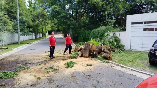 Defensa Civil recibió 950 llamados durante el fin de semana