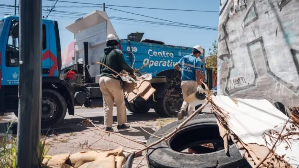 Continúa el operativo ambiental contra el dengue