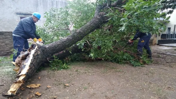 La Provincia brinda asistencia por el temporal en el sur y sudeste cordobés