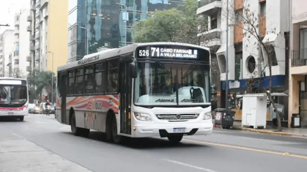 Desde este sábado rigen nuevos recorridos en las líneas del corredor 7