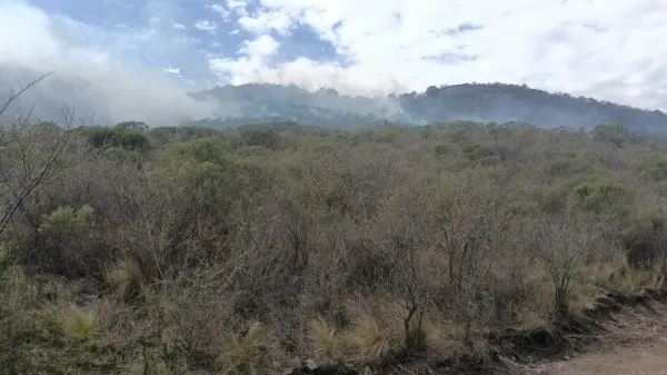 Incendio forestal en La Calera: bomberos y aviones hidrantes combaten el fuego