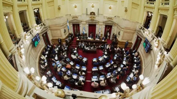 El Senado debatirá una reforma en la Ley de Salud Mental
