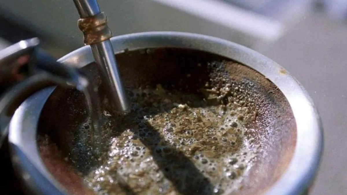La Anmat prohibió una yerba mate por contener bacterias venenosas