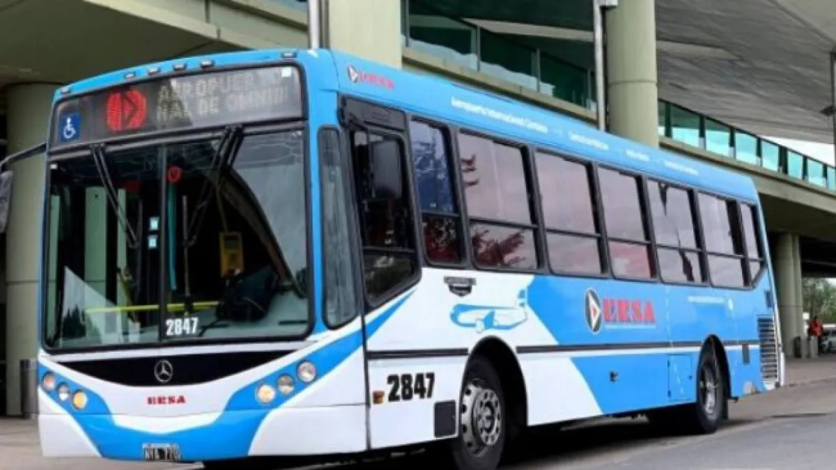El municipio busca reinstalar el transporte urbano diferencial