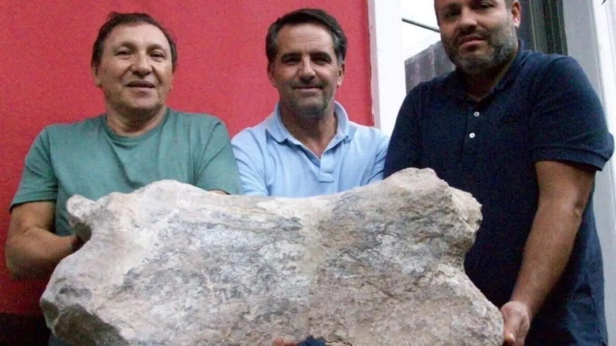 Hallaron restos fósiles de un perezoso gigante de 700.000 años de antigüedad