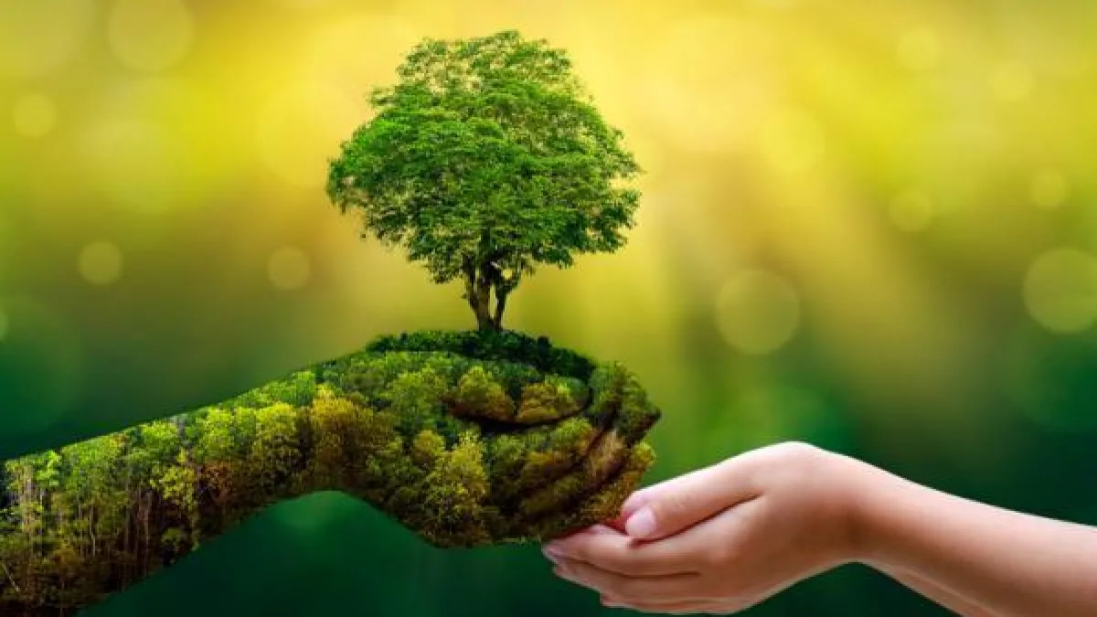 Día Mundial del Medio Ambiente