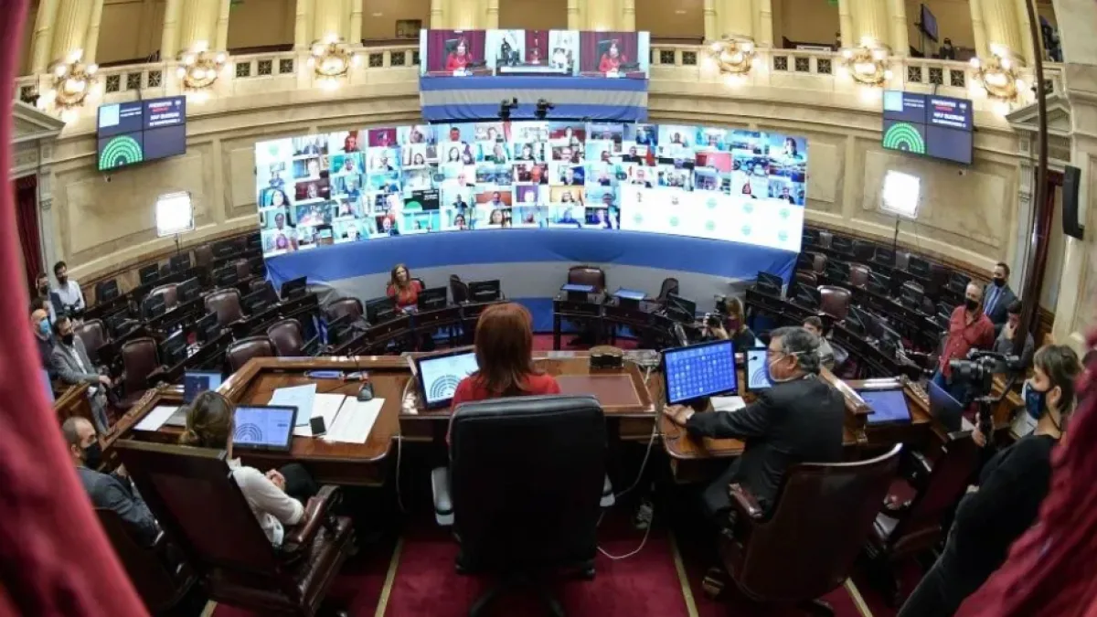 El Senado debate hoy el proyecto de la Ley de Alquileres y educación a distancia