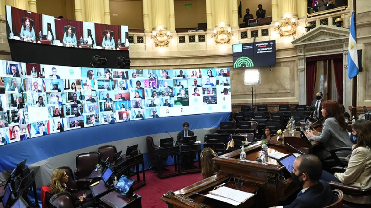 El Senado aprobó la ley de alquileres y de educación a distancia