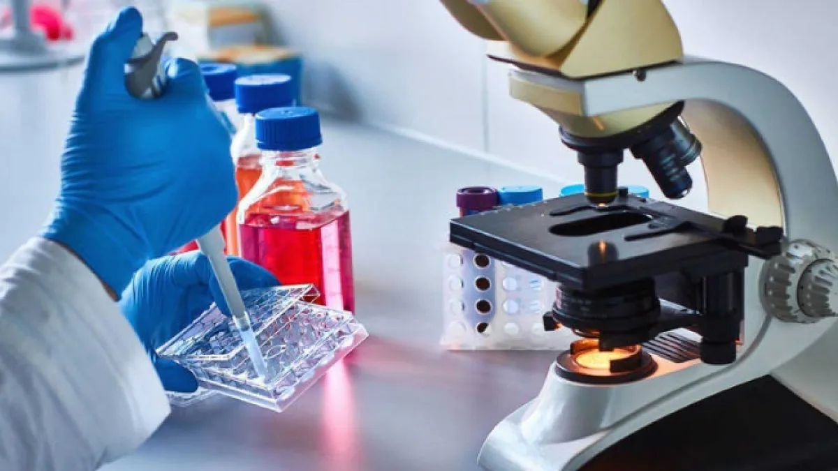 Aprobaron la ley que aumenta el presupuesto de ciencia y tecnología