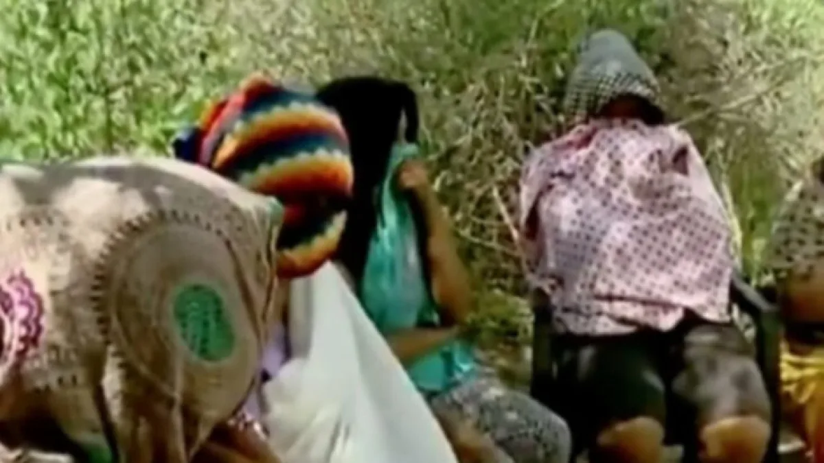 Terror en Formosa: embarazadas se ocultan en el monte para que no las separen de sus bebés