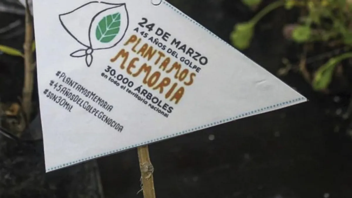 A 45 años del golpe, organismos de DDHH realizan actos virtuales y convocan a plantar árboles