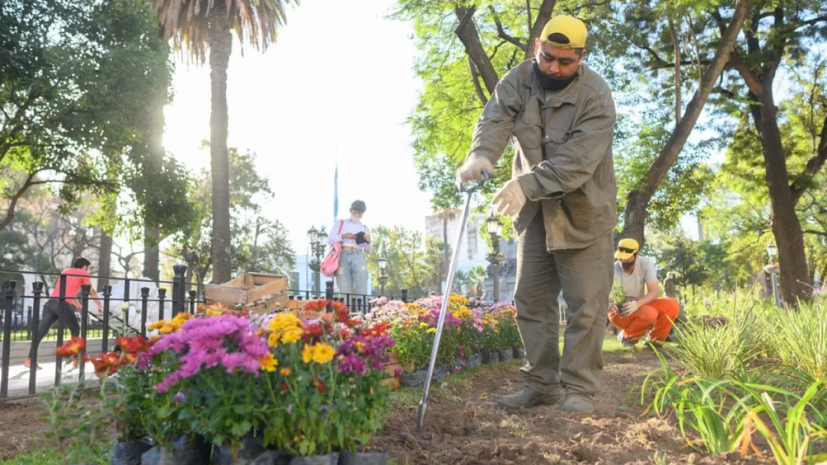 Colocan 5.000 plantas y plantines en plaza San Martín