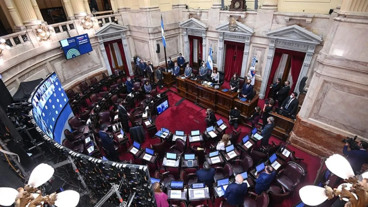 El Senado debate hoy el proyecto de medidas para contener la pandemia