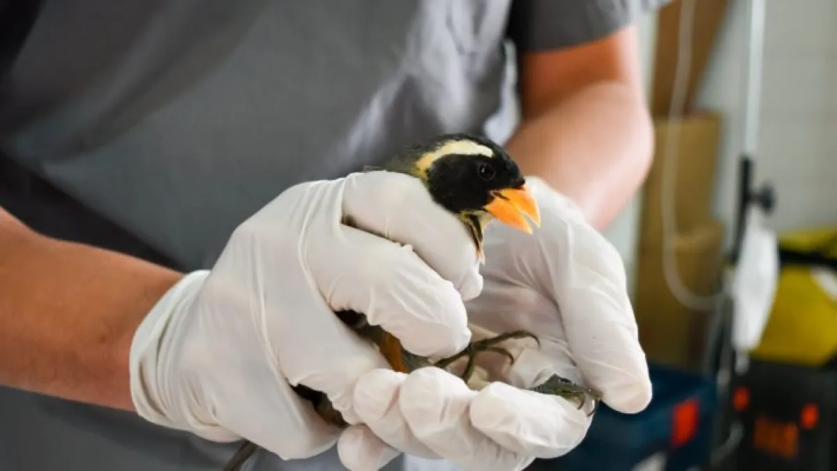La provincia oficializó al Parque de la Biodiversidad como centro de rescate