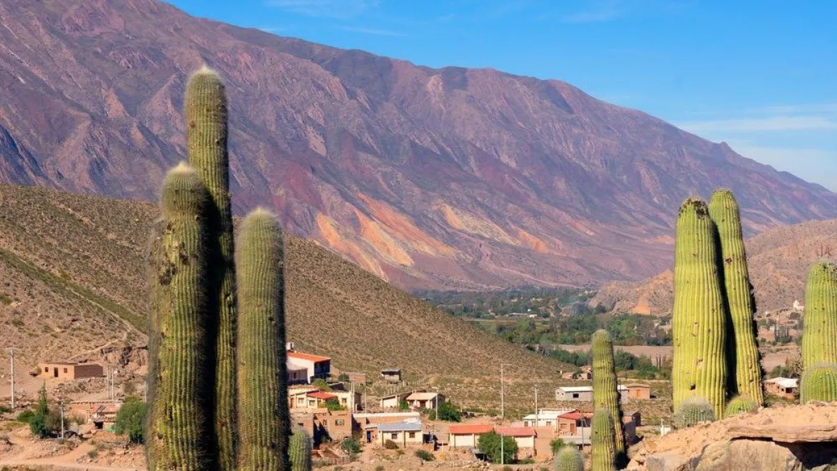 El Norte Argentino habilita la libre circulación para el Turismo
