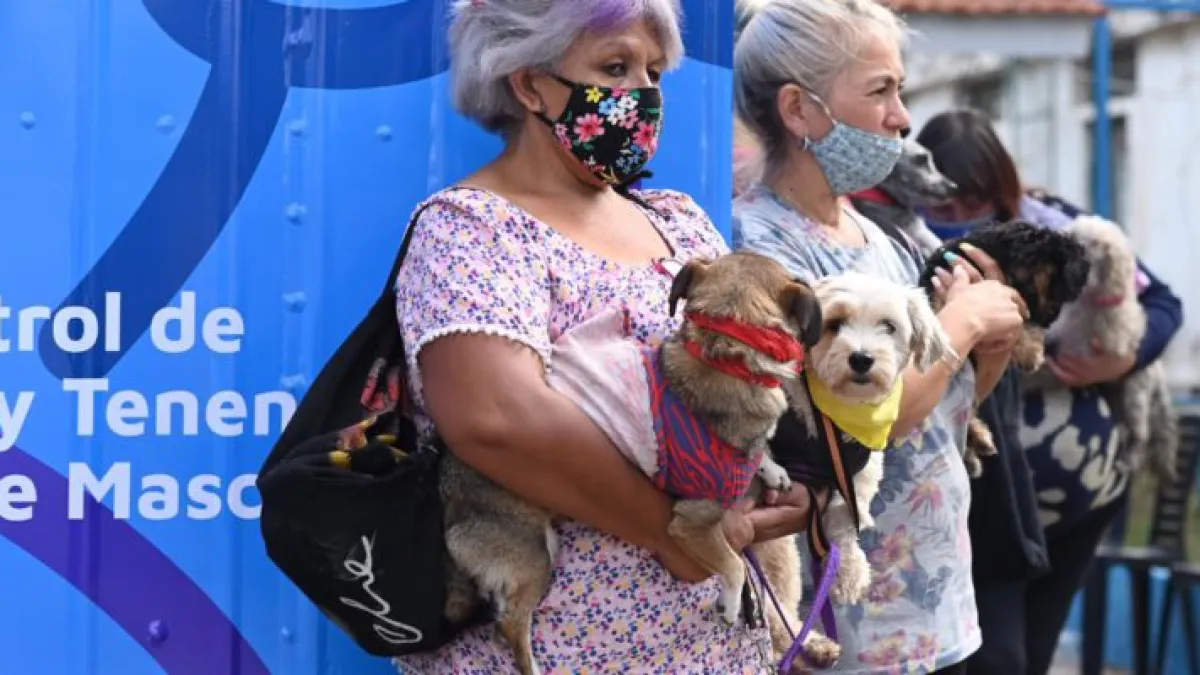 El móvil de castración de mascotas llegó a la Plaza de la Intendencia