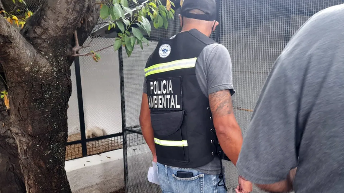 Rescatan 24 aves de una vivienda en La Calera