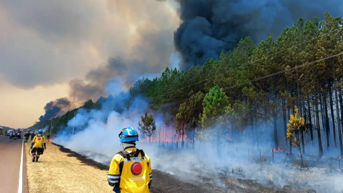 Bomberos cordobeses continúan la lucha contra el fuego en Corrientes