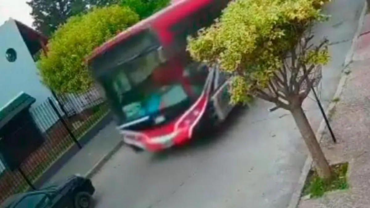 Un niño robó un colectivo y chocó varios autos