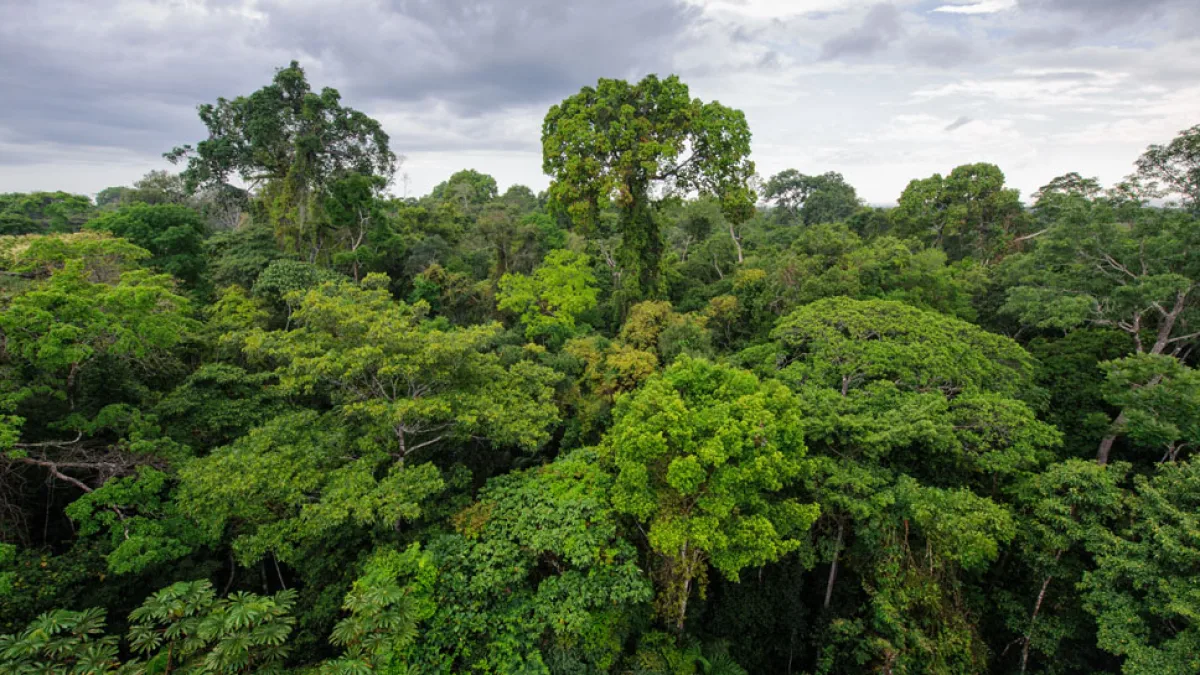 Córdoba recibirá casi US$ 2 millones del Fondo Verde del Clima