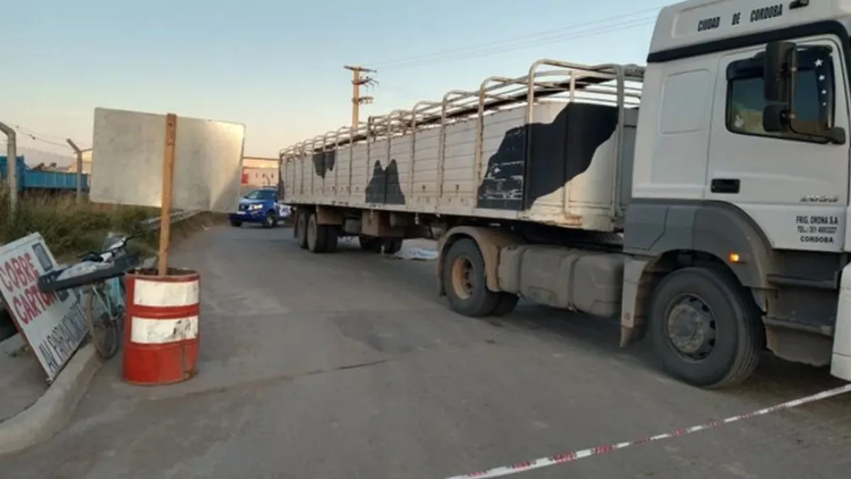 Una mujer que pedía limosna murió atropellada por un camión en Córdoba