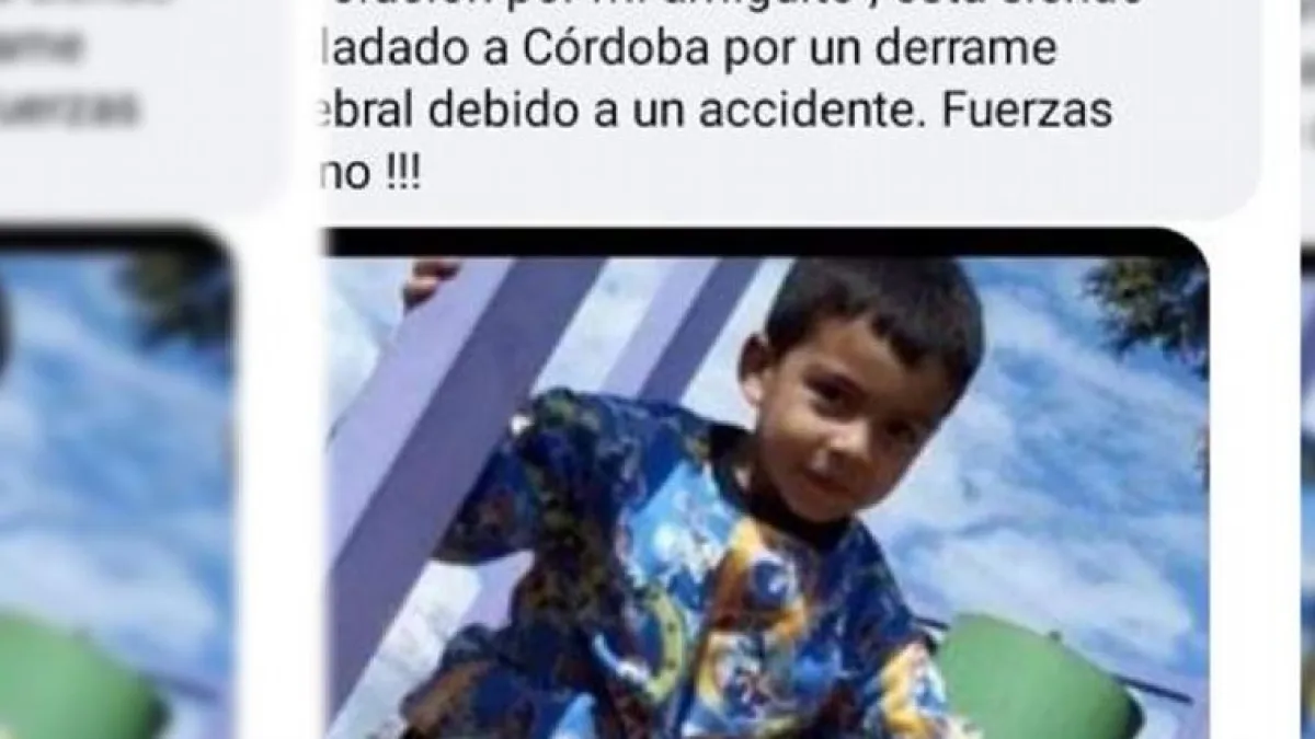 Un niño de 4 años, cayó de una hamaca y lucha por su vida