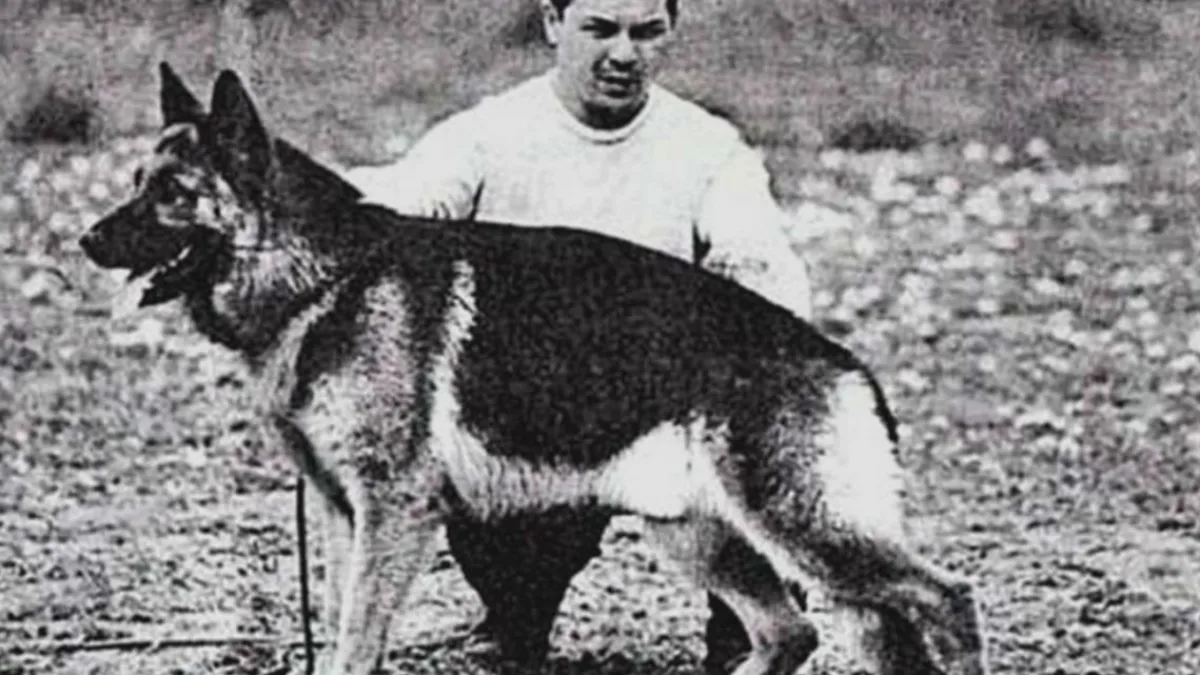 2 de junio: Día Nacional del Perro