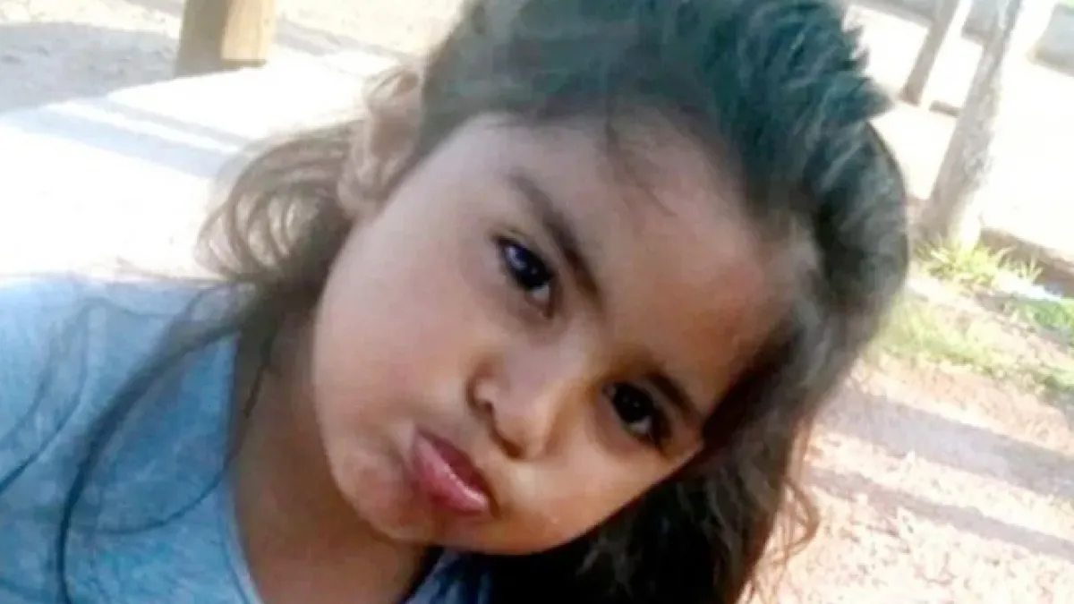 Caso Guadalupe Lucero: crecen las dudas sobre el joven que se autoincriminó