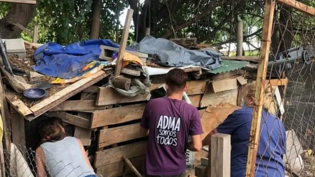Secuestraron más de 15 perros, 8 gatos y 11 gallinas de la vivienda de la mujer atacada por el Pitbull