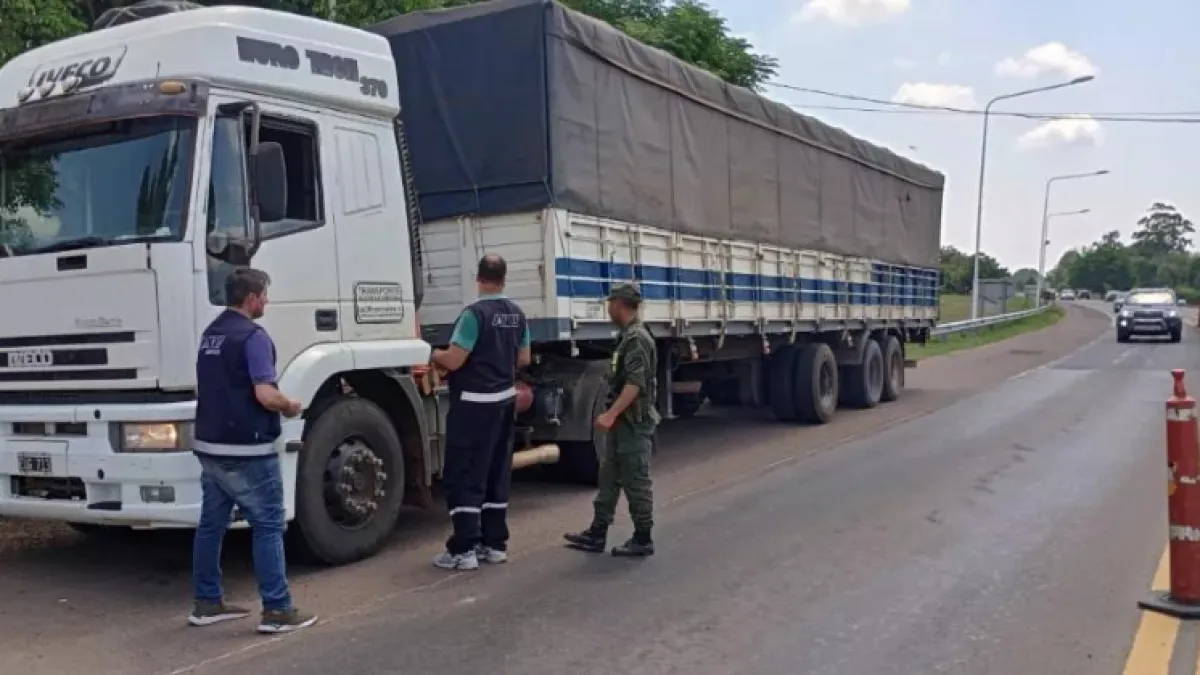 La Afip detectó 113 toneladas de granos sin declarar durante controles en el NEA