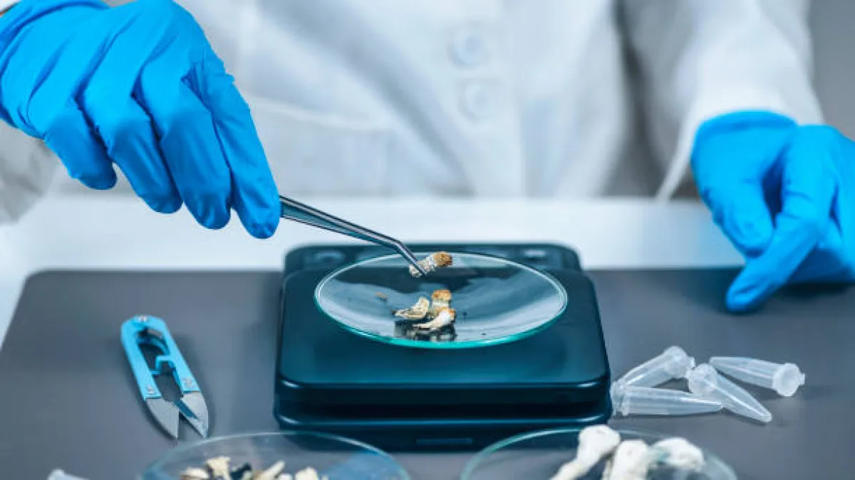 Australia legaliza el uso medicinal del éxtasis y hongos alucinógenos
