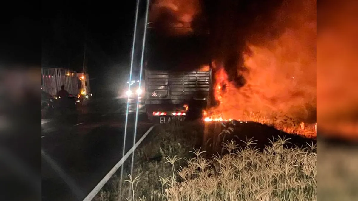 Se incendió un camión que transportaba vacas y varias fallecieron