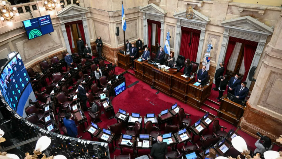 El Senado debate este jueves la "Ley Lucio" y de "Alcohol Cero"