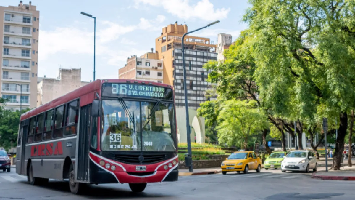 El transporte será gratuito para las elecciones municipales