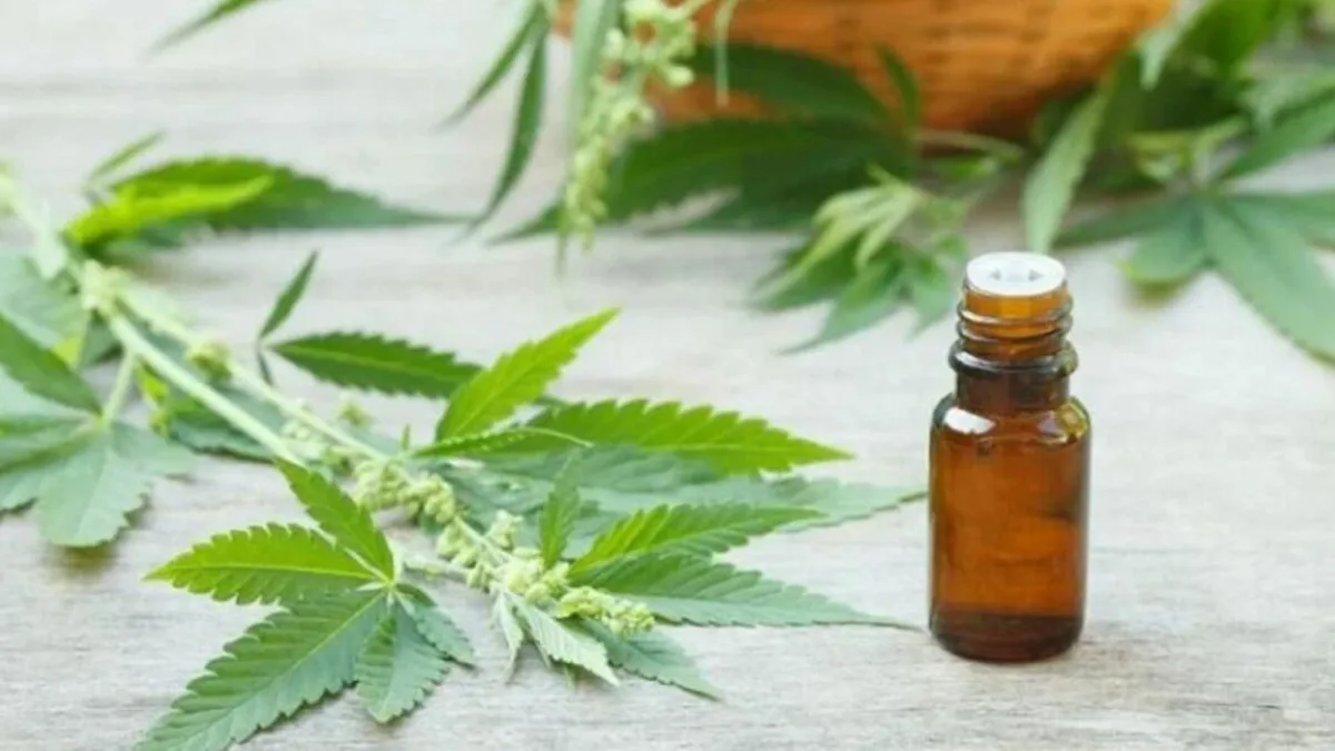 El Gobierno reglamentó la ley para desarrollo en el país de cannabis medicinal