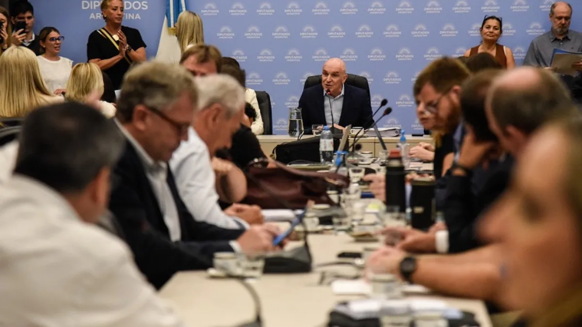 Diputados iniciará mañana el tratamiento en comisiones de la ley ómnibus