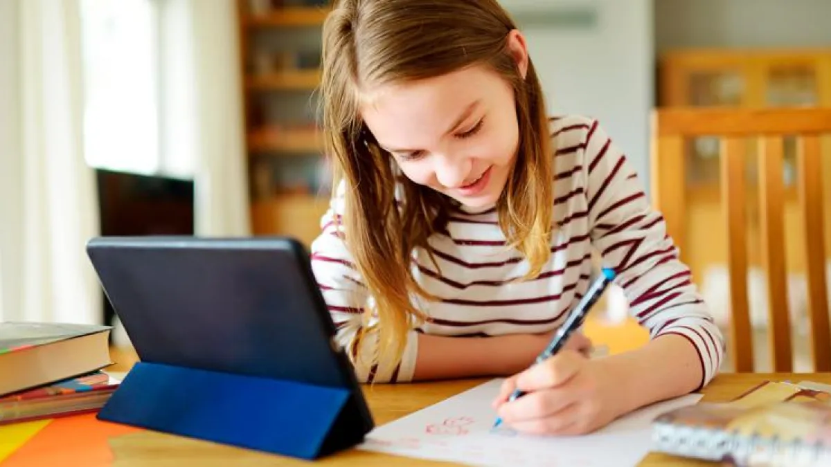 Ley Ómnibus: Educación descartó que se incluya el "homeschooling"