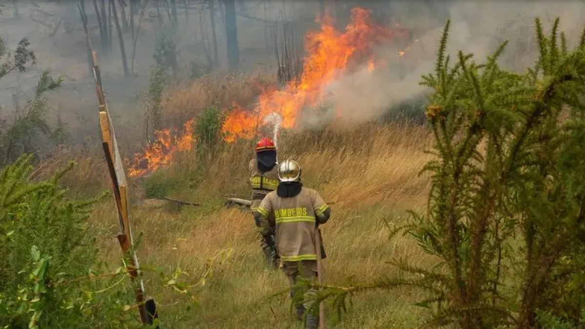 El incendio en Parque Nacional Los Alerces arrasó 577 hectáreas