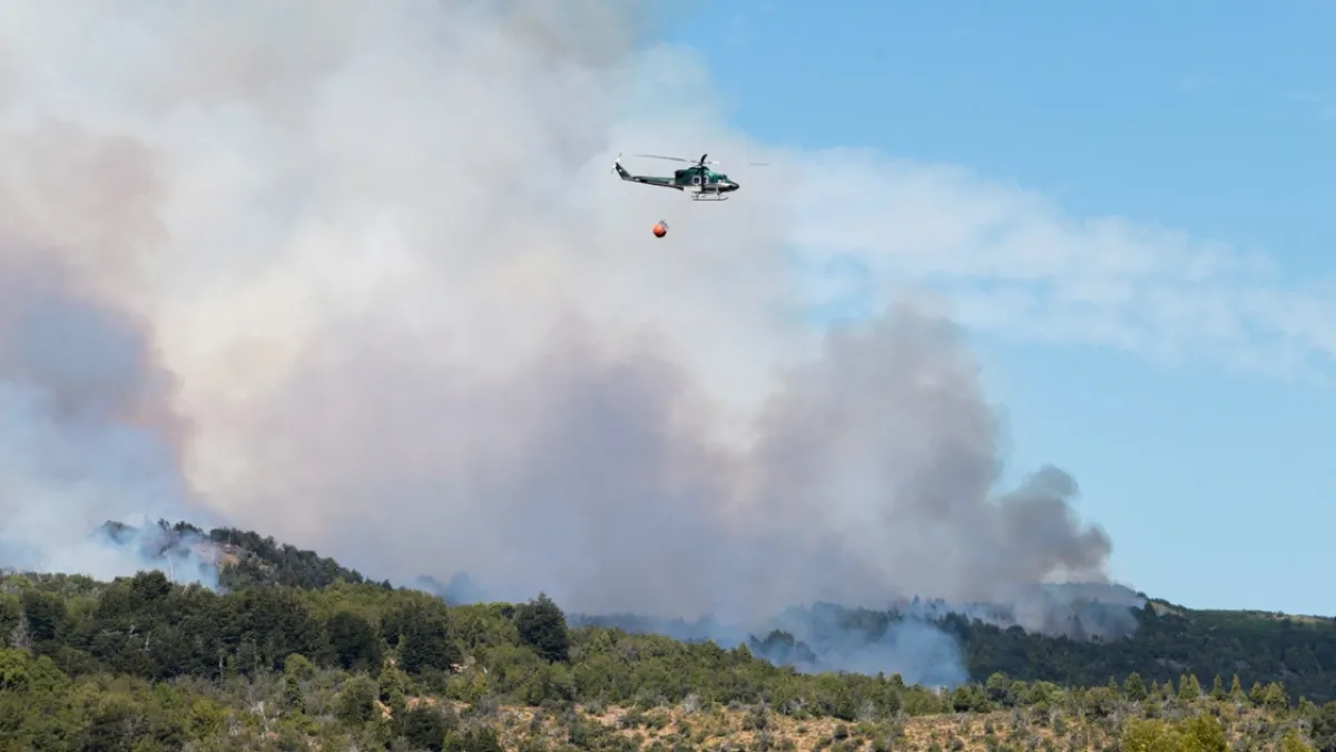 El fuego consumió más de 2.000 hectáreas en el Parque Los Alerces