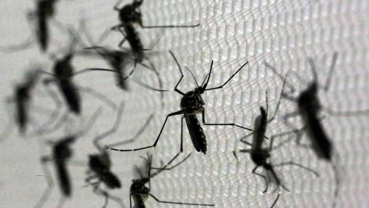 Confirman dos muertes por dengue en Córdoba