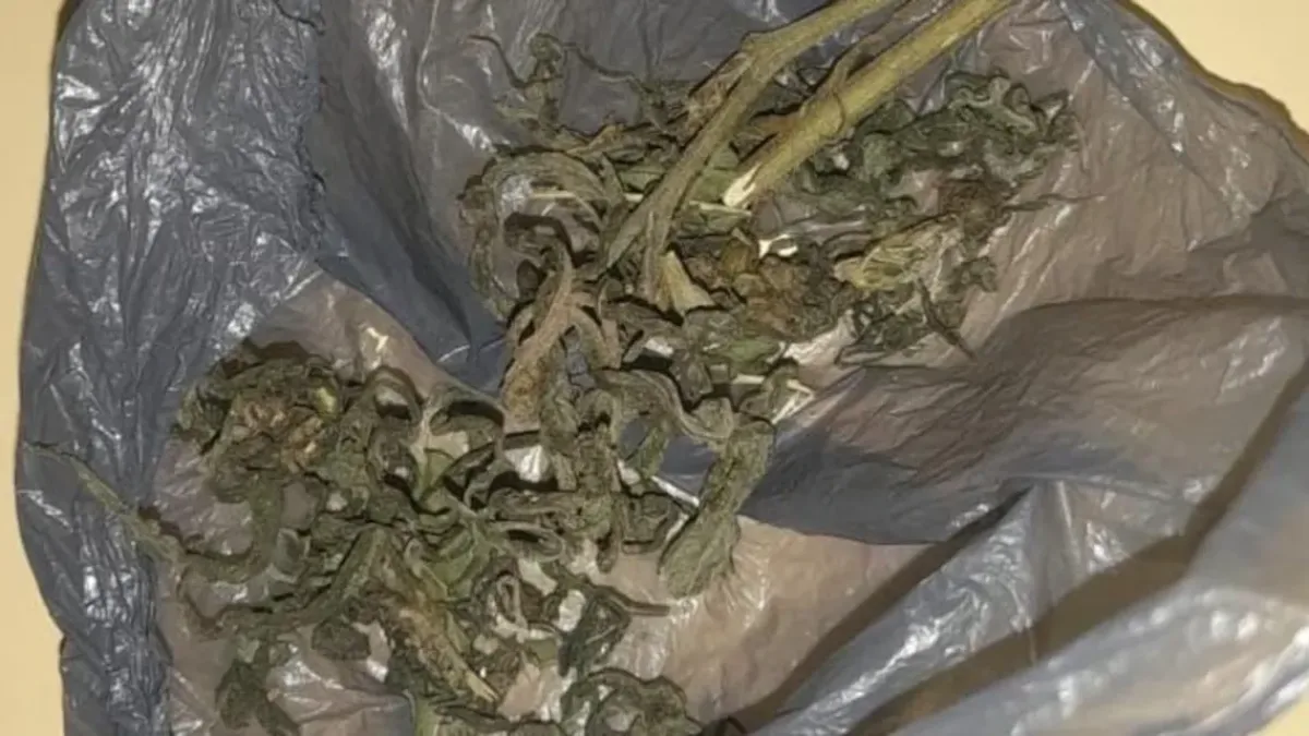Un nene de 10 años llevó marihuana a la escuela