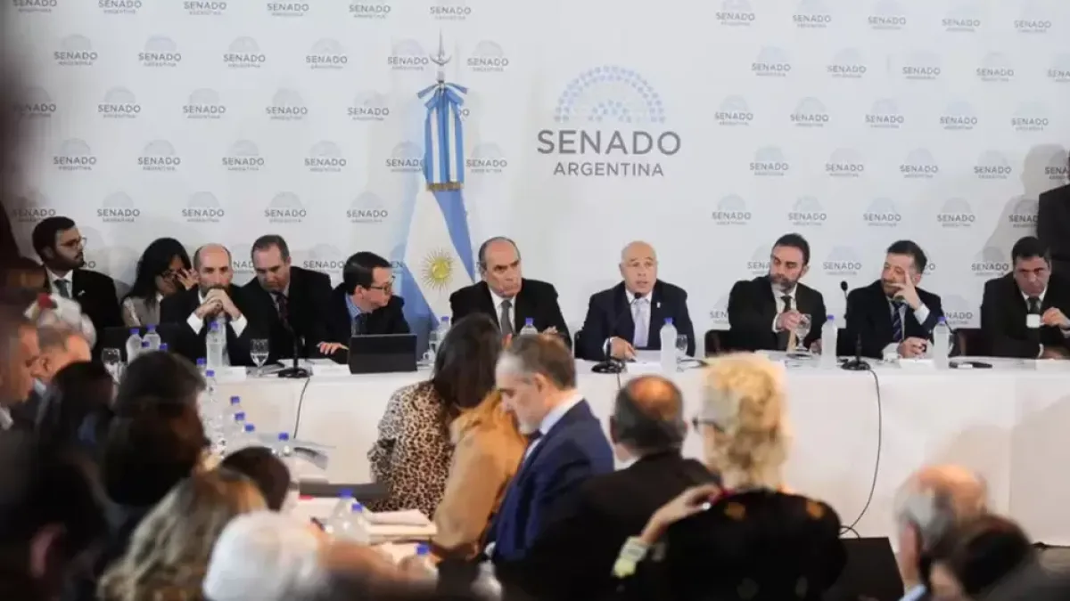 Ley Bases: se pospuso la firma del dictamen en el Senado