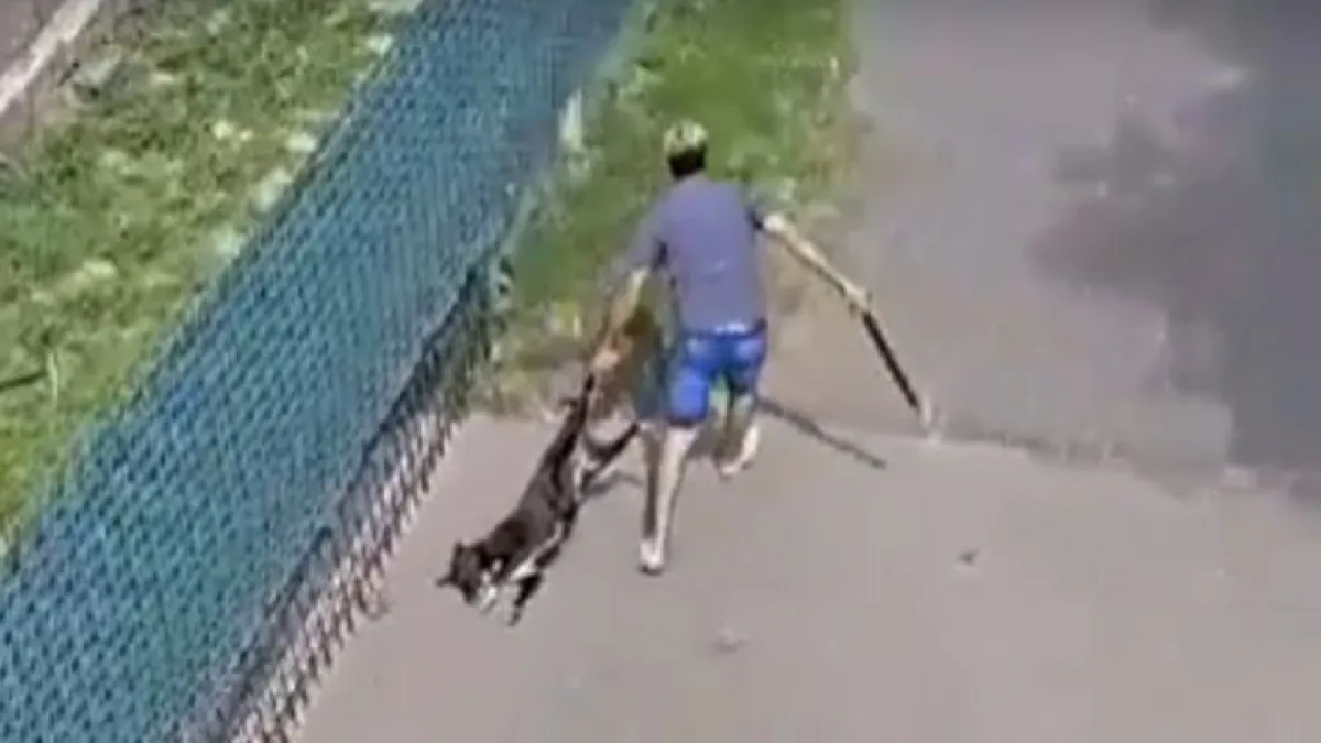 Habló el hermano del veterinario falso de Villa Allende que mató a golpes a una perra: "Que se haga cargo de lo que hizo"