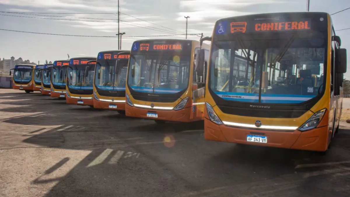 Coniferal toma la línea 45 del transporte urbano desde este viernes