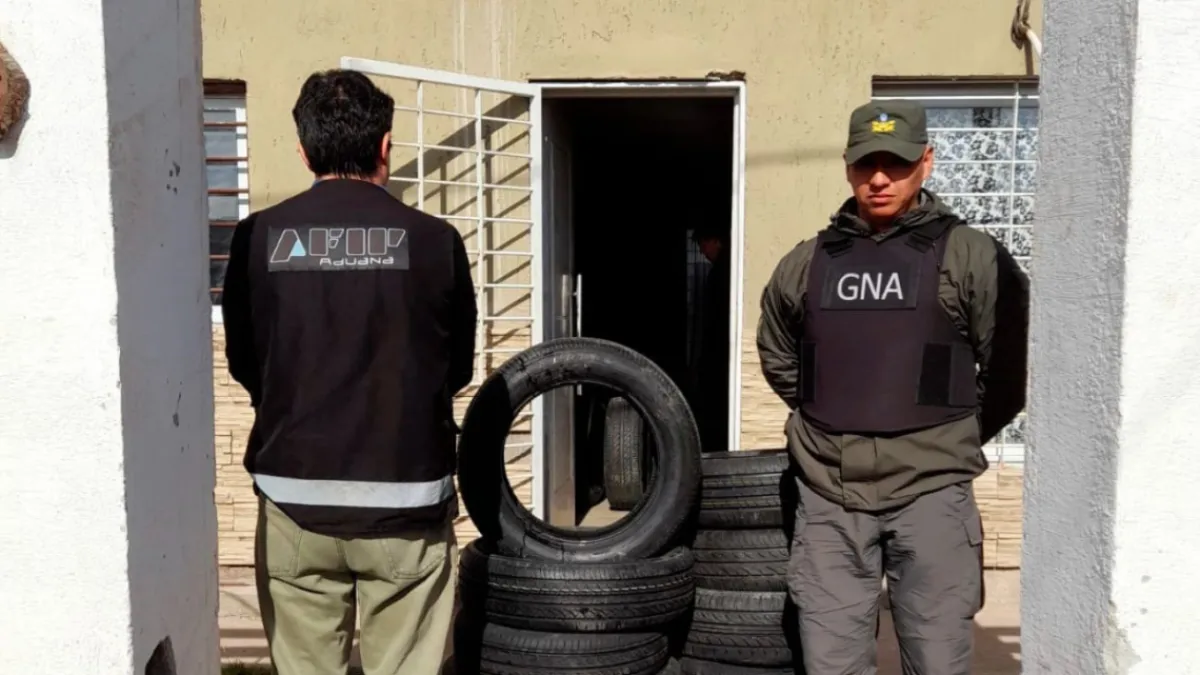 Gendarmería incautó un millonario cargamento de neumáticos